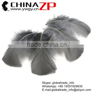 CHINAZP Hottest Plume Items Wholesale Dyed Grey Turkey T-Base Body Plumage Feathers for Decorations thumbnail-1