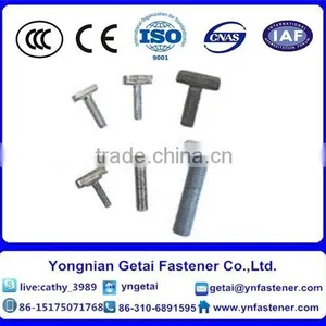 T-head Bolts With Square Neck Bolts , Hot Dip Galvanized (H.D.G) /Galvanized With Black /yellow Zinc Plated/blue White thumbnail-5