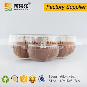 Clear Plastic Container for 4 Pcs Kiwis thumbnail-2