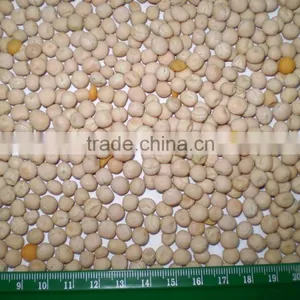 Unpolished Whole Yellow Peas From Ukraine thumbnail-1