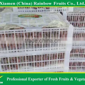 Fresh Red Globe Grape From Yunnan Xinjiang China thumbnail-5