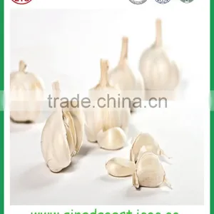Chinese Jinxiang Grade A Fresh Normal White Garlic on Sale thumbnail-5