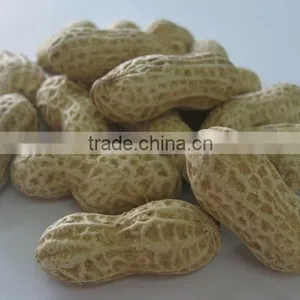 Chinese Peanut Kernels With Shell thumbnail-2