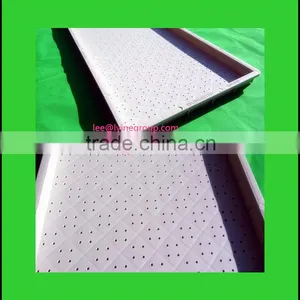 Growing Planting Seeds Trays Flowers Vegetables Plants Gardening thumbnail-1