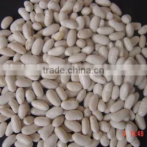 White Bean thumbnail-1