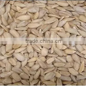 Surpplying Sunflower Kernels for Distributors Wholesalers thumbnail-6
