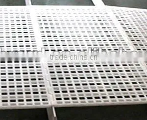 Chicken Plastic Slat/floor thumbnail-1