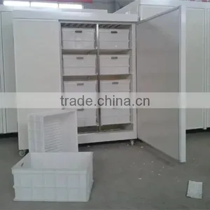 Hot Sale Green Mung Bean Sprout Machine thumbnail-5