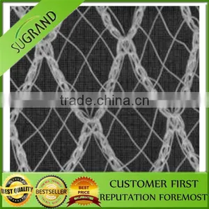 Virgin HDPE PE Plastic Agricultural Bird Netting Vineyard Bird Netting Bird Protection Net thumbnail-6
