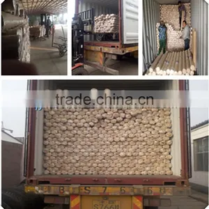 Factory Price BWG Standard 2x2 Inch Welded Wire Mesh Panel With Galvanized thumbnail-6