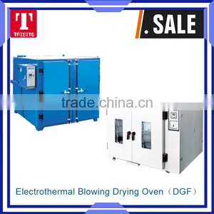 Electrothermal Blowing Industrial Drying Oven(DGF) thumbnail-1