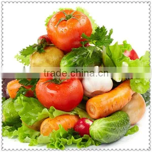 CE Electric Stainless Steel Food Vegetable Chopper Cutting Machine for Sale thumbnail-2