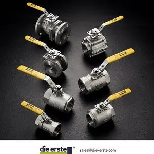 Die Erste Industry Co., Ltd company overview - view 2 thumbnail