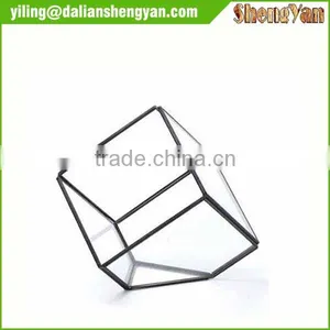 The Cube Shape Planter,geometric Glass Terrarium thumbnail-5