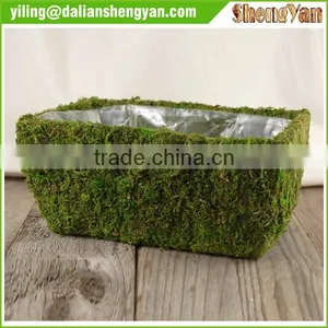 Hanging Moss Planter , Moss Flower Pot , Moss Brackets thumbnail-2