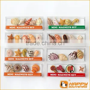 Wholesale Fridge Magnet Refined Seashell Series Custom 3D Miniature Decoration thumbnail-1