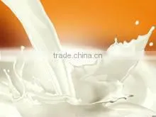 Milk Powder Replacer for Beverage thumbnail-1