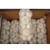 Pure White Garlic-1203 thumbnail-1