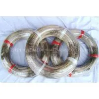 Annealed SUS304 316Stainless Steel Spring Wire thumbnail-1