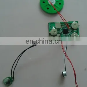 Recordable Audio Chips With Led Lights thumbnail-6