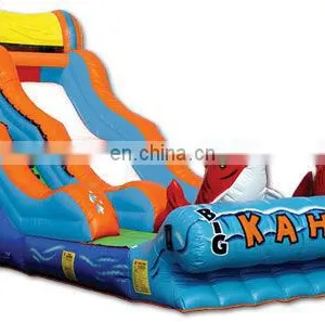 Double Lane Water Park Slides for Sale thumbnail-1