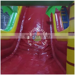2017 Aier Hot Selling Inflatable Slide/ Factory Price Water Slide for Sale thumbnail-6