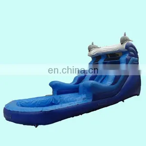 Commercial Grade Inflatable Water Slide With Pool thumbnail-1