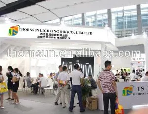 Thornsun Lighting (HongKong) Co., Ltd. company overview - view 2 thumbnail