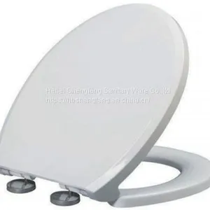 China Factory Soft Close Plastic d Shape Toilet Seat thumbnail-4