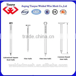 Hot Sale Kinds of Common Nails thumbnail-3