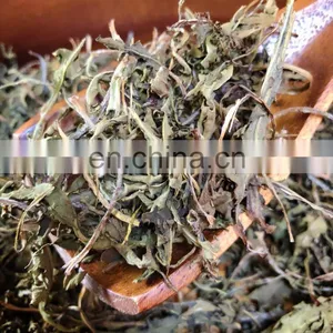 Pure Dried Dandelion Leaves for Herbal Tea/ Organic Pure Dried Dandelion Leaves From Vietnam thumbnail-3
