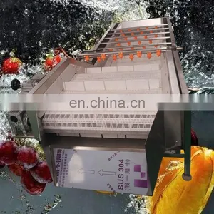 Water Bubble Type Vegetable And Fruit Cleaning Machine Seafood Oyster Seaweed Washer Eggplant Shrimp Bubble Washing Machine thumbnail-5