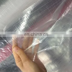 Transparent PE Tarpaulin UV Treatment Woven Fabric Film for Cherry Tree Protection Cover thumbnail-3