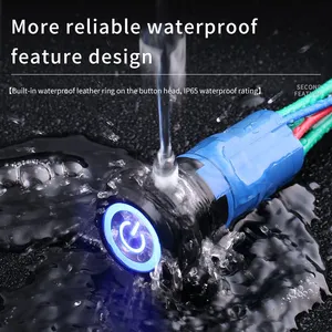 Ip65 22mm Flat and Ring Illumination Head 48v SPST Red Green Blue pc Momentary Switch thumbnail-5