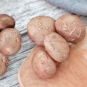 Fresh Mushroom (WWWdotSULEN-INDdotCOM) thumbnail-2