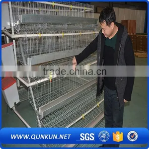 Egg Production Project Poultry Farming Equipment H Type Design Layer Chicken Cage for Sale thumbnail-3
