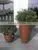 Indoor and Outdoor Fiberglass Flower Pot thumbnail-3