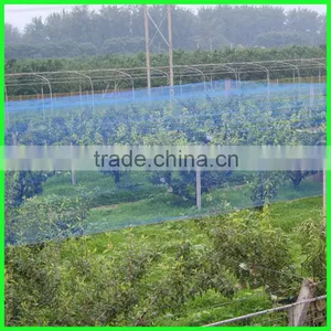 Anti Bird Net for Shrimp Pond Cover/bird Mist Netting thumbnail-5