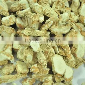 Sand Ginger thumbnail-1