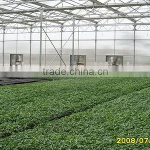 Venlo Garden Greenhouse for Mushroom thumbnail-3