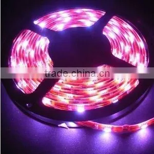 Hot Sale Led Rope Light thumbnail-1
