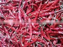 Byadgi Quality Red Chilli thumbnail-1