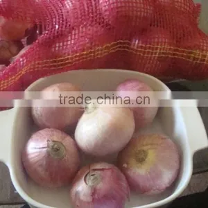Fresh Yellow Onion thumbnail-1