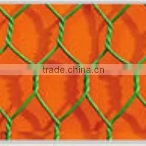 Pvc Hexagonal Green Plastic Wire Netting thumbnail-3