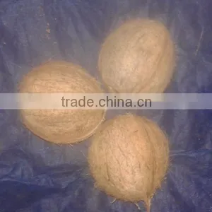 Todays Coconut Price in TamilNadu thumbnail-3