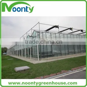 Commercial Glass Greenhouse thumbnail-1