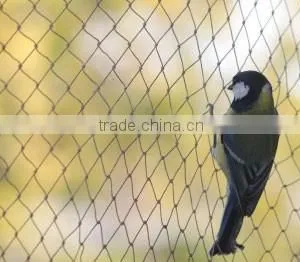 Anping Aviary Mesh for Animal Protection thumbnail-2