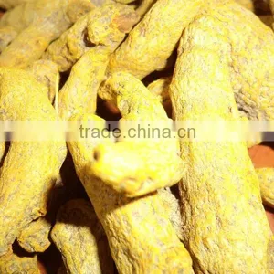 Fresh Turmeric / Dried Turmeric / Turmeric Finger thumbnail-5