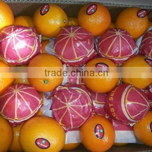 Egyptian Navel Orange With Best Quality thumbnail-1