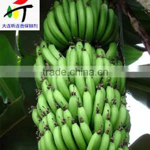 Direct Factory Price the Good Quality Ethylene Ripener for Banana(12) thumbnail-2